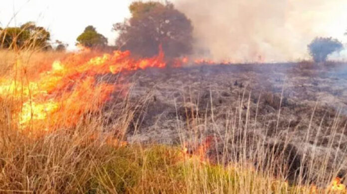 Incendio-forestal-en-Haiti