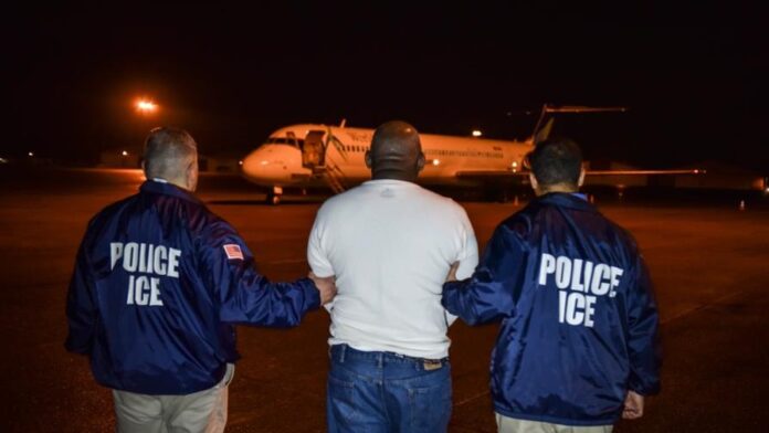 ice-coordina-vuelos-de-deportacion-hacia-centroamerica-y-rd-focus-0.05-0.24-896-504