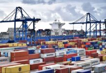 Las exportaciones dominicanas alcanzaron US$13,063 millones