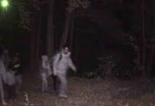 EU acusa dominicano de tráfico transnacional de personas