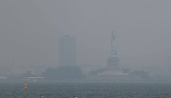 humo