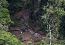 Oro en el Darién: el complejo sistema ilícito del Clan del Golfo que Panamá quiere romper