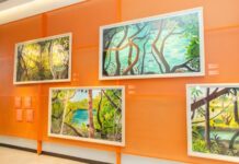 PUNTA CANA: Centro Cultural Rainieri impulsa el talento emergente en visuales