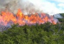 LA VEGA: Se reactiva fuego Valle Nuevo, 70 brigadistas tratan sofocarlo