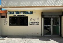 Veterinario atribuye casos de sarna en personas en Barahona a falta de higiene y hacinamiento