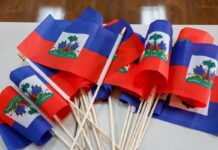 Crece en Haití «la fiebre electoral», afirma comentarista