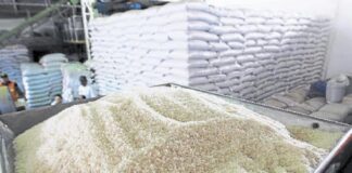 Arroz de RD: apertura comercial y seguridad alimentaria