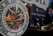 OEA pide sea desplegada ya la fuerza «antipandillas» en Haití
