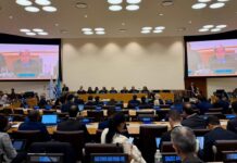 RD pide ante ONU más atención para los países en desarrollo