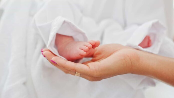 autoridades-refuerzan-protocolos-para-prevenir-muertes-neonatales-040c5517-focus-0-0-896-504