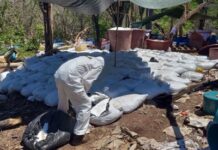 EEUU se atribuye incautación 16 toneladas de metanfetamina