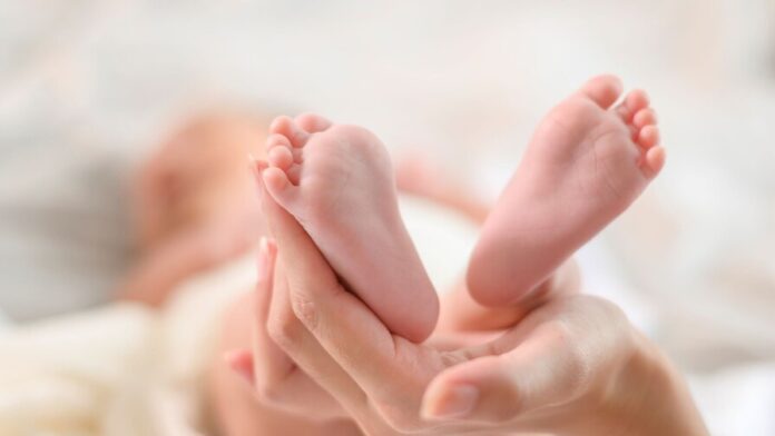 reportan-40-muertes-infantiles-en-boletin-epidemiologico-439a8ad9-focus-0-0-896-504