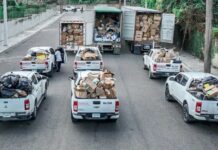 SDE: Ocupan 46.9 millones fármacos e insumos médicos ilegales SDE