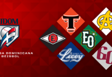 Equipos de Lidom se refuerzan con miras beisbol profesional