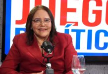Diputada PRM ve a Collado como sucesor de Abinader