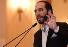 Bukele niega haya propuesto plan de excarcelación masiva