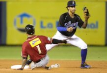 Gigantes, Estrellas y Toros salen airosos en béisbol dominicano