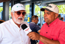 BÁVARO: Proponen electrificar transporte de carga para reducir costos RD