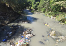 JACAGUA: Reclaman sanear río Jacagua en Santiago Oeste