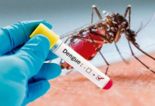 RD confirma 415 casos dengue y La Altagracia concentra 131