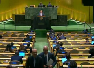 Tensión en ONU: Waltz exige al canciller cubano irse del podio