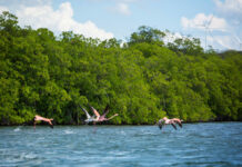 Una semana especial para promover los servicios ecosistémicos de las reservas de biosfera dominicanas